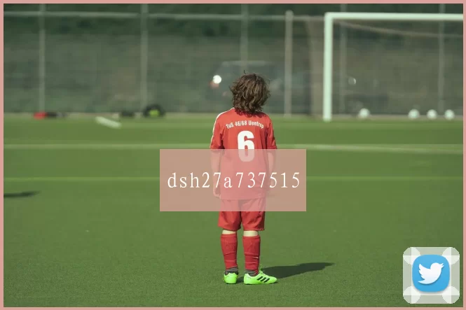 dsh27a737515